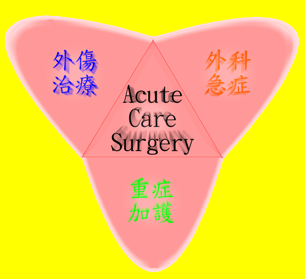 acute care surgery